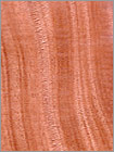 webassets/sapele.jpg